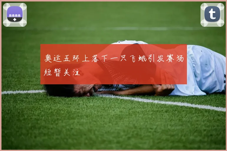 奥运五环上落下一只飞蛾引发赛场短暂关注
